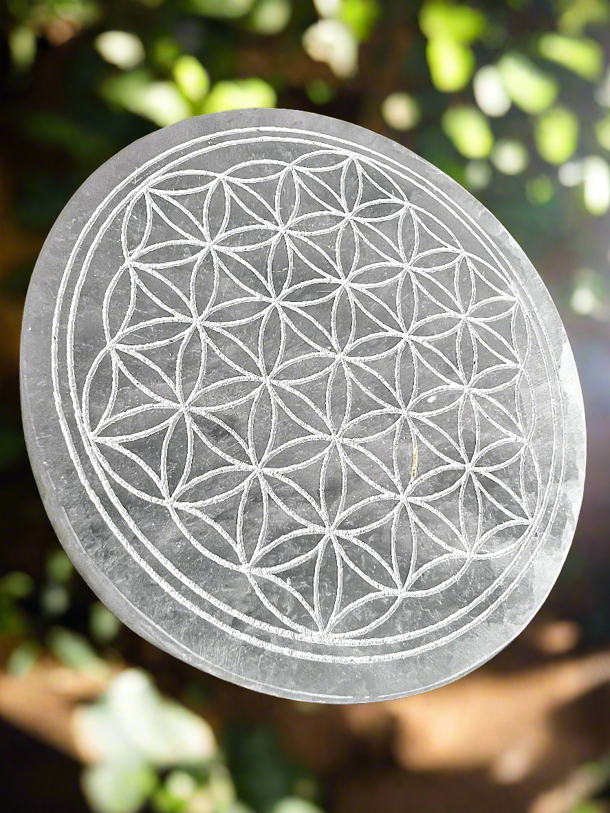 Plaque sélénite de rechargement