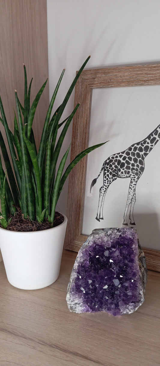 Géodes améthyste AAA